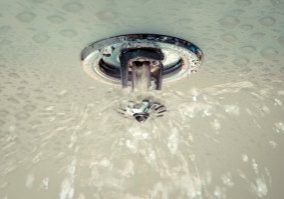 Sprinkler sprinkling